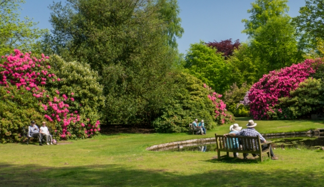 Elderly couple enjoying the gardens at Tatton Park